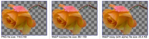 WebP : lossless et transparence